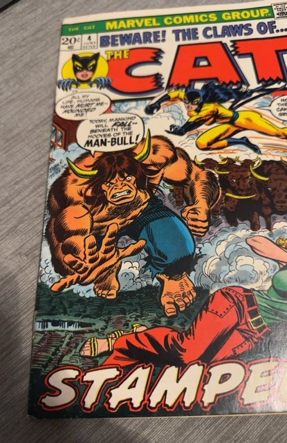 The Cat #4 (1973)stampede higher grade