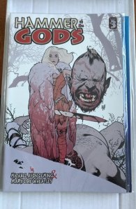 Hammer of the Gods #3 (2001)