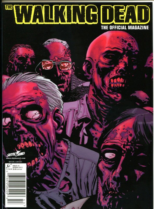 WALKING DEAD MAGAZINE #3, NM, Zombies, Horror, Kirkman, 2012, more TWD in store