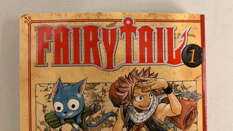 Fairy Tail Vol. 1 Paperback Hiro Mashima 