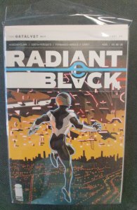 Radiant Black #25 (2023)