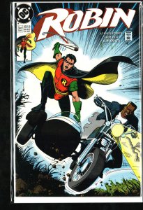 Robin #3 (1991)