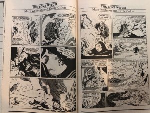 Witch #1 (1989) Marv Wolfman Ernie Colon Eternity Comics