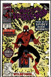 The Amazing Spider-Man #341 (1990) Spider-Man