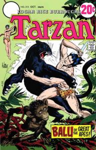 Tarzan (DC) #213 FN; DC | save on shipping - details inside