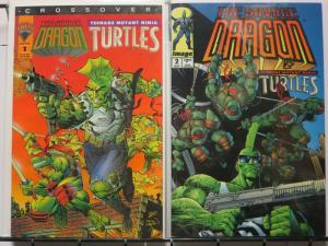 SAVAGE DRAGON TEENAGE MUTANT NINJA TURTLES XOVER COMPLE