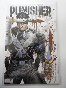 Punisher #1 Variant Edition