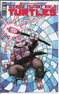 Teenage Mutant Ninja Turtles #113 Cover B (2021)
