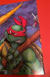 Teenage Mutant Ninja Turtles #6 (1986)1st print