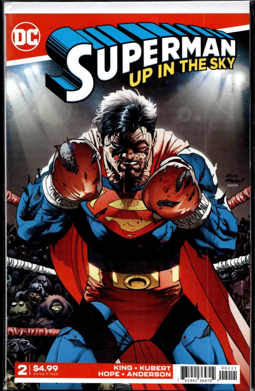 Superman: Up In the Sky #2 (2019) Superman
