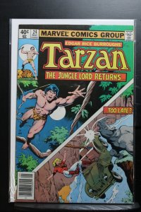 Tarzan #24 Newsstand Edition (1979)