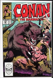 Conan the Barbarian #224 (1989) Conan