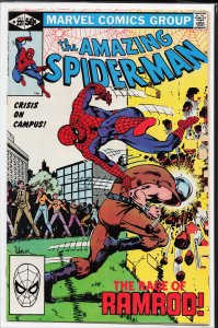 The Amazing Spider-Man #221 (1981) Spider-Man
