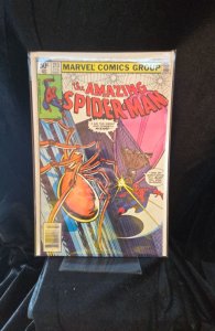 The Amazing Spider-Man #213 Newsstand Edition (1981) Spider-Man 