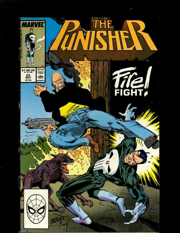 12 The Punisher Marvel Comic Books #18 19 20 21 22 23 24 25 26 27 28 29 HY3