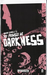 You Promised Me Darkness #1 Cover C (2021)