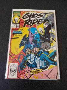 GHOST RIDER #5 THE PUNISHER