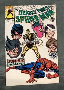 Deadly Foes of Spider-Man #3 Direct Edition (1991)