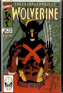 Wolverine #29 (1990) Wolverine