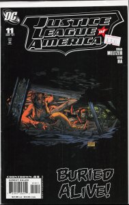 Justice League of America #11 (2007) Vixen