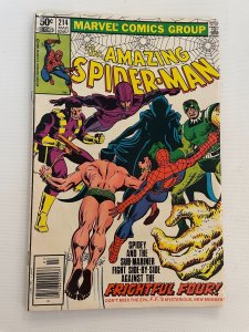 Amazing Spider-Man # 214 FN Marvel Comic Book Black Cat 3 J263