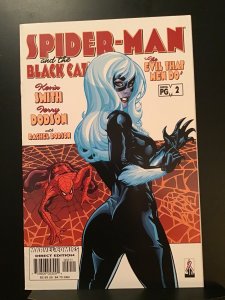 Spider-Man/Black Cat: The Evil that Men Do #2 (2002)