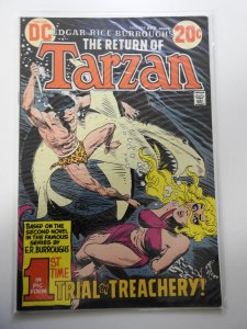 Edgar Rice Burroughs' Tarzan #219 (1973)