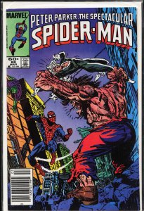 The Spectacular Spider-Man #88 (1984) Spider-Man