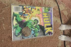 Incredible Hulk Comic # 303  1985, Marvel) hulk in exile