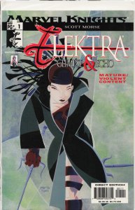 Elektra: Glimpse and Echo #1 (2002) Elektra