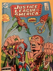 JUSTICE LEAGUE OF AMERICA #243 : DC 10/85 Fn/VF; Amazo, Zatanna. Mera