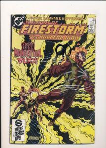 DC MIXED LOT of 2 FIRESTORM Comics #30 & #33 VG/FINE (SIC232)