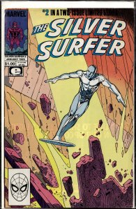 The Silver Surfer #2 (1989) Silver Surfer