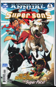 Super Sons Annual (2018) Super Sons