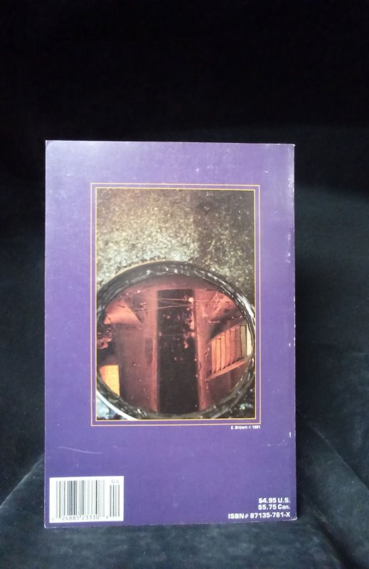 The Punisher: P.O.V. #4 (1991)