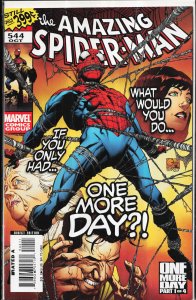 The Amazing Spider-Man #544 (2007)