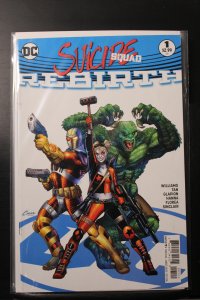 Suicide Squad: Rebirth Amanda Conner Cover (2016)