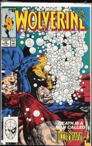 Wolverine #19 (1989) Wolverine