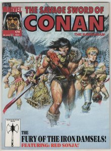 The Savage Sword of Conan #179 Chuck Dixon Ernie Chan Earl Norem Cover Red So...