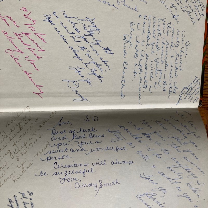 1967 Valhalla yearbook, James Monroe HS, North Hills CA