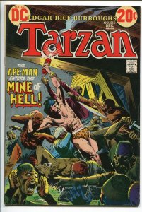 TARZAN #215 1972-DC-EDGAR RICE BURROUGHS-JOE KUBERT JUNGLE ART-vf