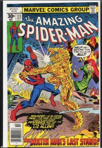 The Amazing Spider-Man #173 (1977) Spider-Man