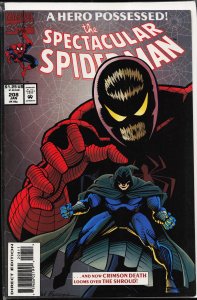 The Spectacular Spider-Man #208 (1994) Spider-Man