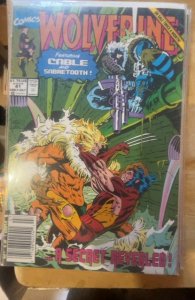 Wolverine #41 (1991)