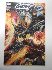 Ghost Rider #1 Stegman Cover (2022)