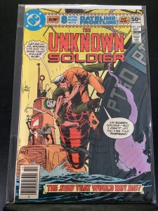 Unknown Soldier #244 (1980)