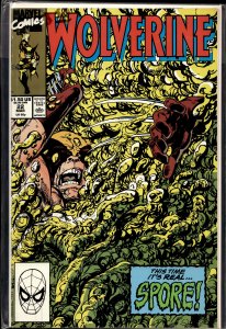 Wolverine #22 (1990) Wolverine
