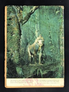 Edgar Rice Burroughs' Tarzan #25 (1951)