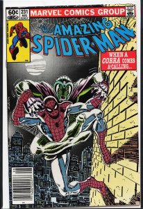 The Amazing Spider-Man #231 (1982) Spider-Man