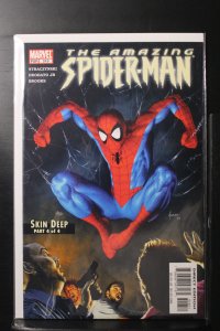 The Amazing Spider-Man #518 (2005)